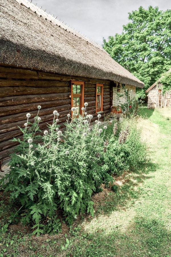 Matsi Cottage Igakula Exterior photo